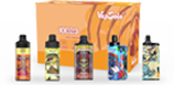 VAPSOLO Starter Package: 6 VAPES FOR